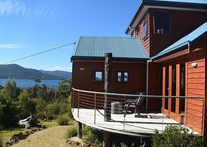 The Tree House