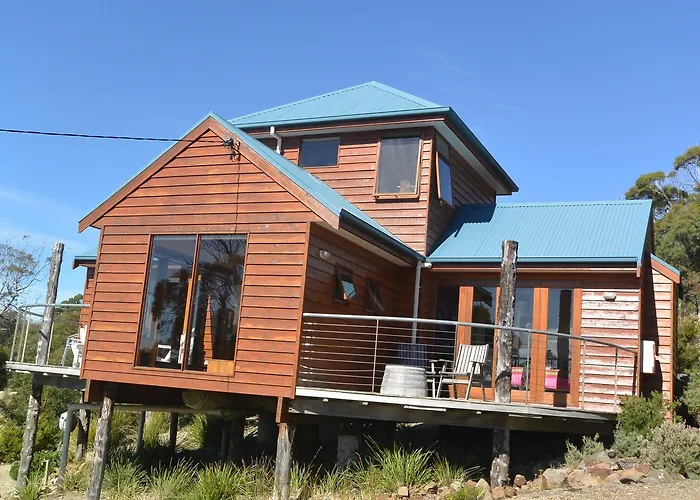 The Tree House
